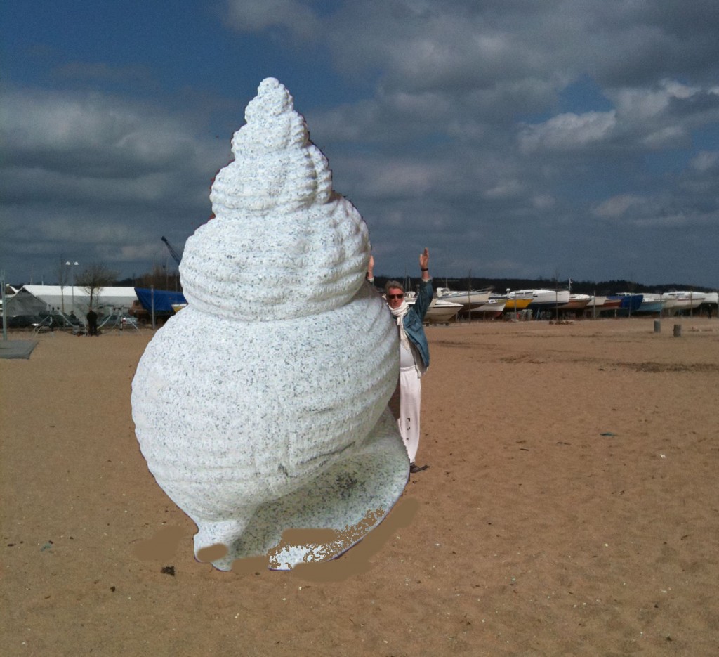 large spiral shell on a beach