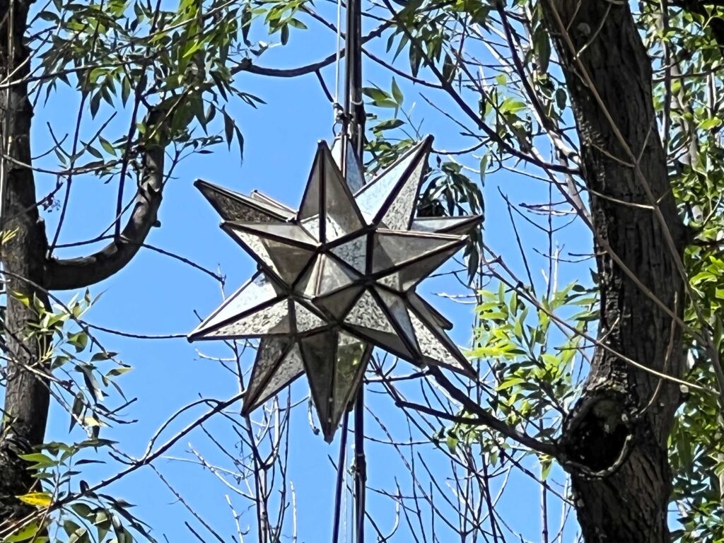 metal stellated polyhedra decorating trees in an interior courtyard; San Miguel de Allende, Mexico